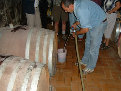 Alessandro Bocci durante una visita in cantina